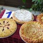 «Молодые профессионалы»