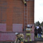 Олимпиада профессионального мастерства